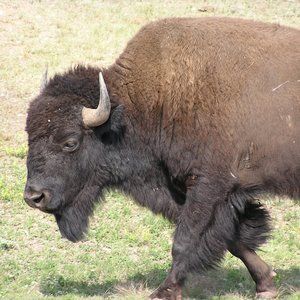 Meet your Posher, Kay